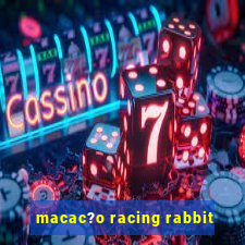 macac?o racing rabbit