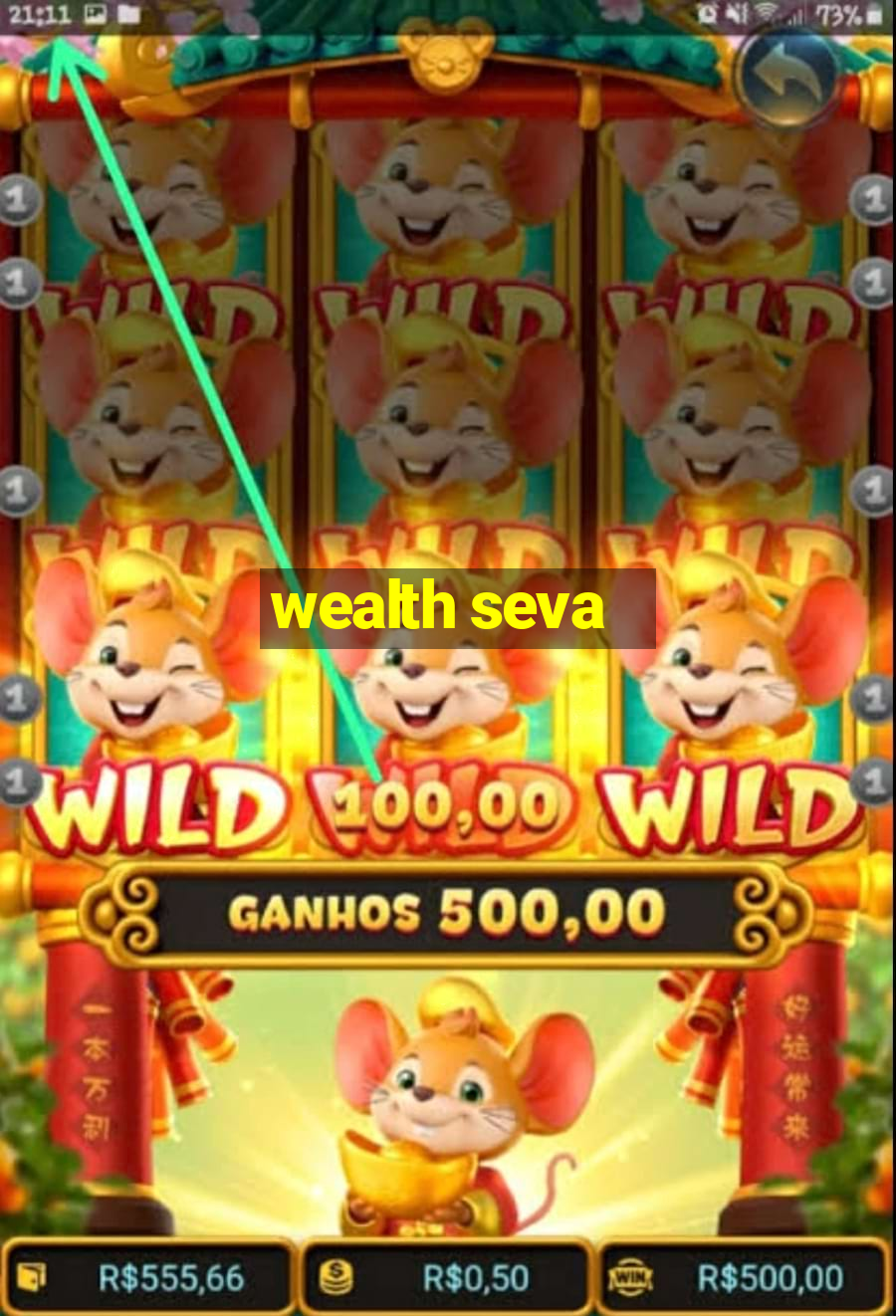 wealth seva