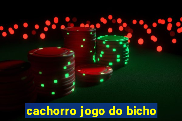 cachorro jogo do bicho