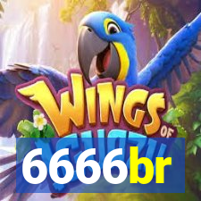 6666br