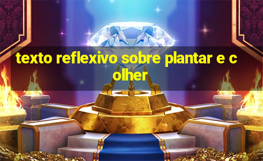 texto reflexivo sobre plantar e colher