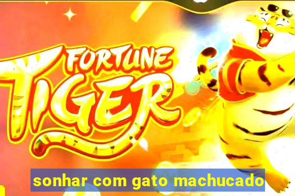 sonhar com gato machucado