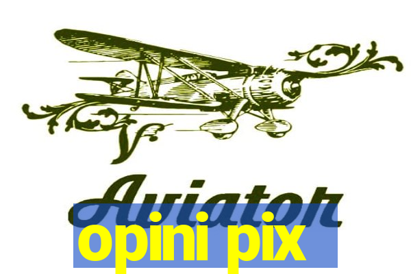 opini pix