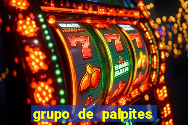 grupo de palpites de futebol whatsapp