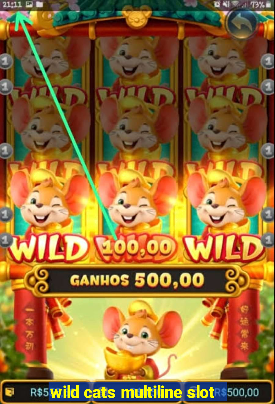 wild cats multiline slot