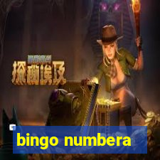 bingo numbera