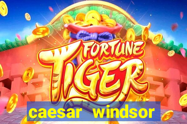 caesar windsor casino hotel