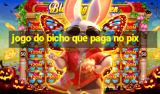 jogo do bicho que paga no pix