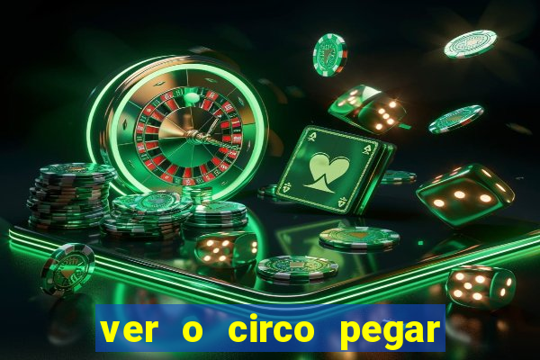 ver o circo pegar fogo significado