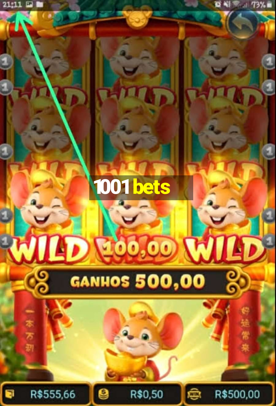 1001 bets