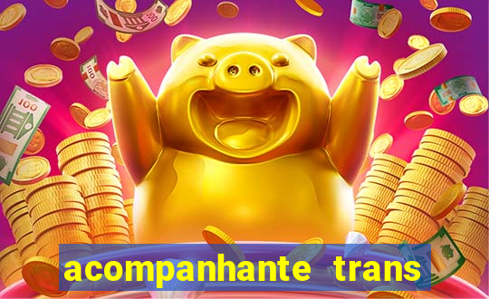 acompanhante trans baixada fluminense