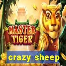 crazy sheep