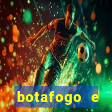 botafogo e palmeiras palpite