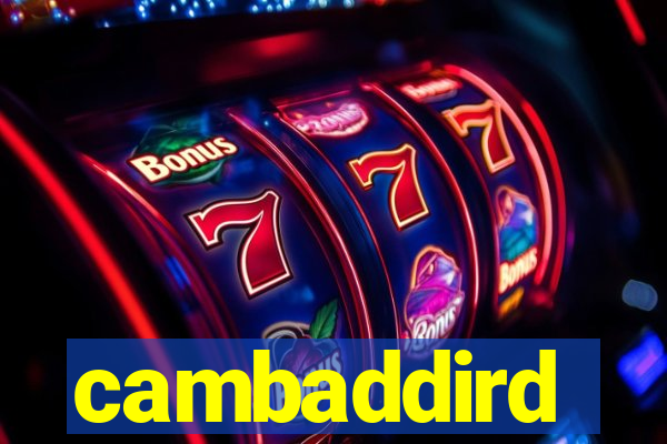 cambaddird