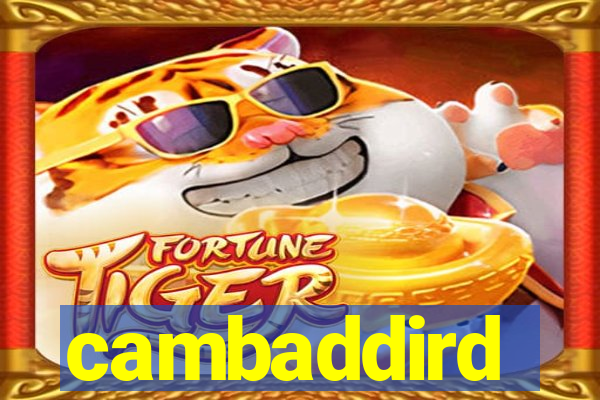 cambaddird