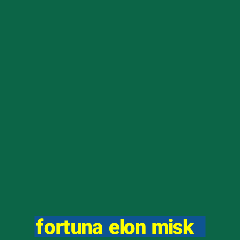 fortuna elon misk