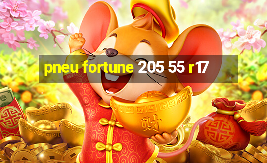 pneu fortune 205 55 r17