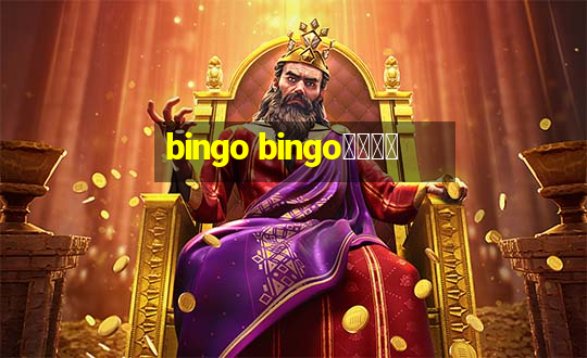 bingo bingo線上投注