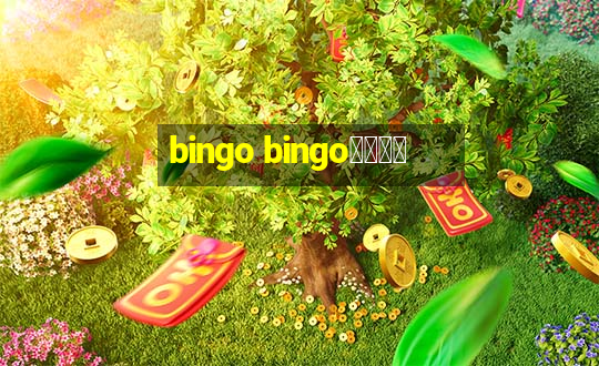 bingo bingo線上投注