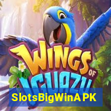 SlotsBigWinAPK