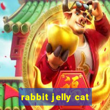 rabbit jelly cat