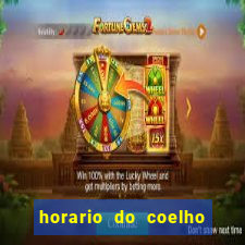 horario do coelho da fortune