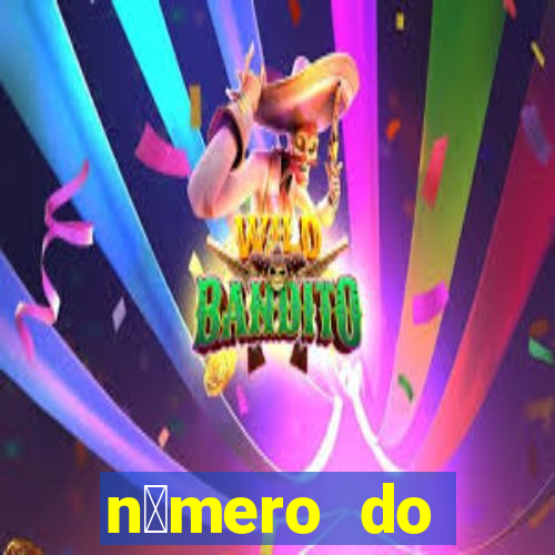 n煤mero do bate-papo da vivo