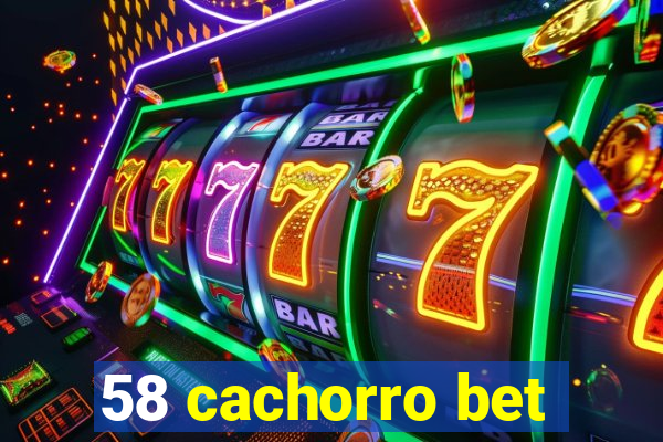 58 cachorro bet