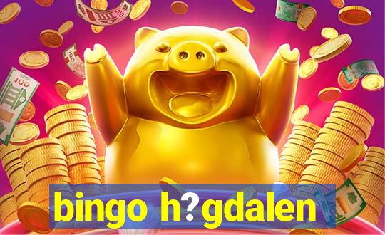 bingo h?gdalen