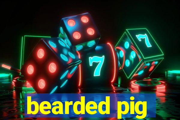 bearded pig