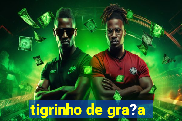 tigrinho de gra?a