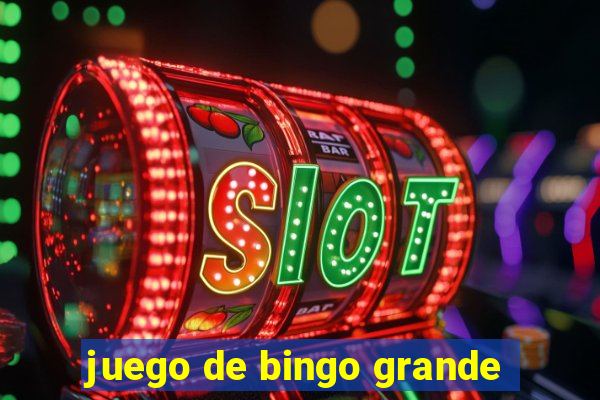 juego de bingo grande