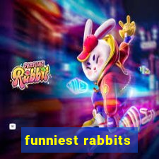 funniest rabbits