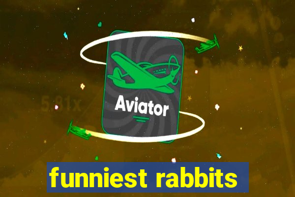 funniest rabbits