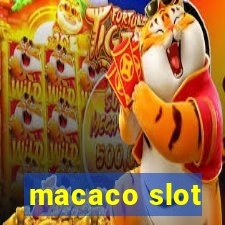 macaco slot