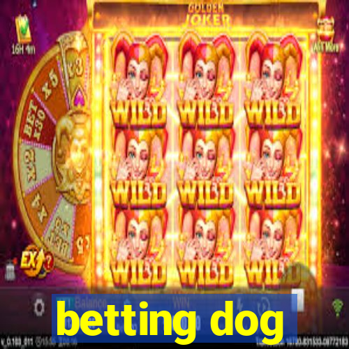 betting dog