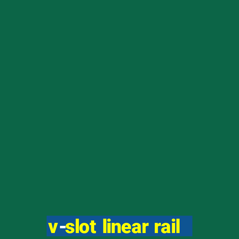 v-slot linear rail