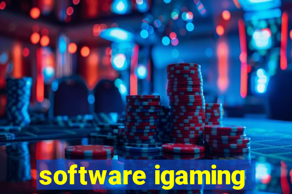 software igaming