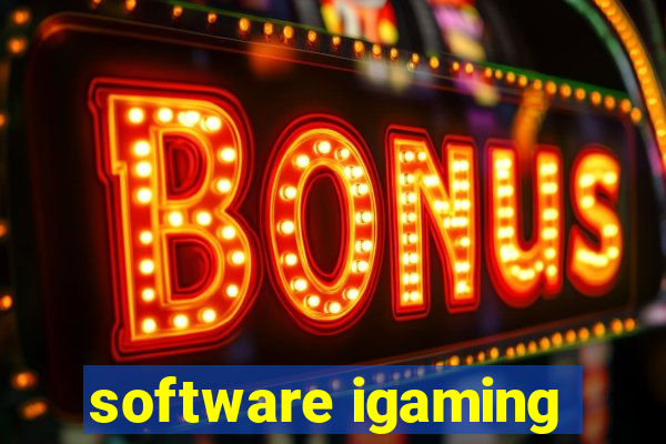 software igaming