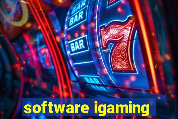 software igaming