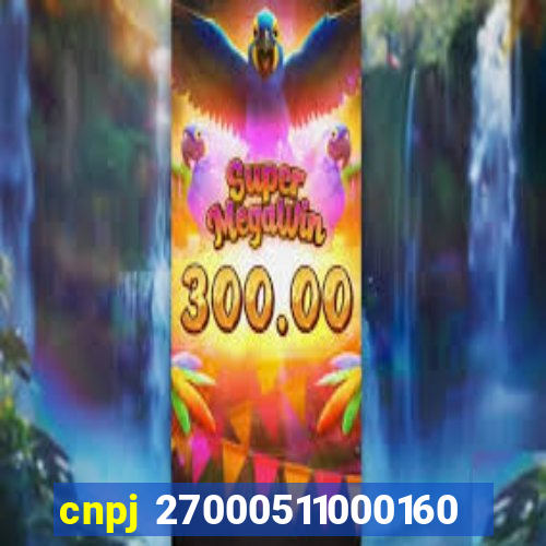 cnpj 27000511000160