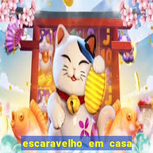 escaravelho em casa significado espiritual