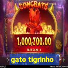 gato tigrinho