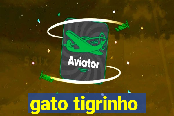 gato tigrinho