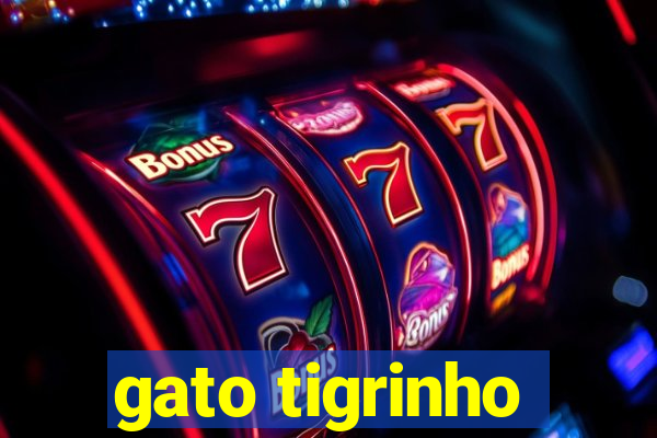 gato tigrinho