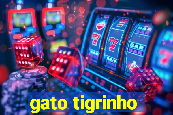 gato tigrinho