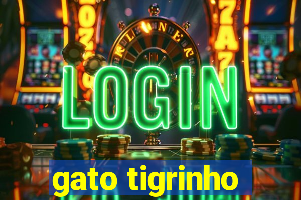 gato tigrinho