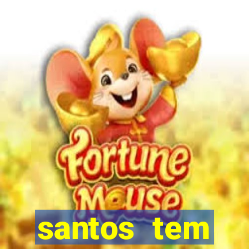 santos tem aeroporto comercial