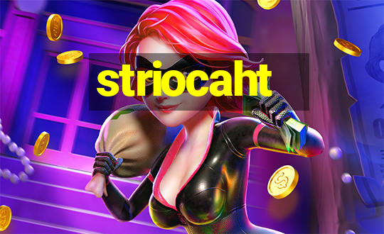 striocaht