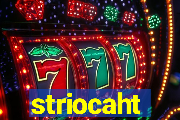 striocaht